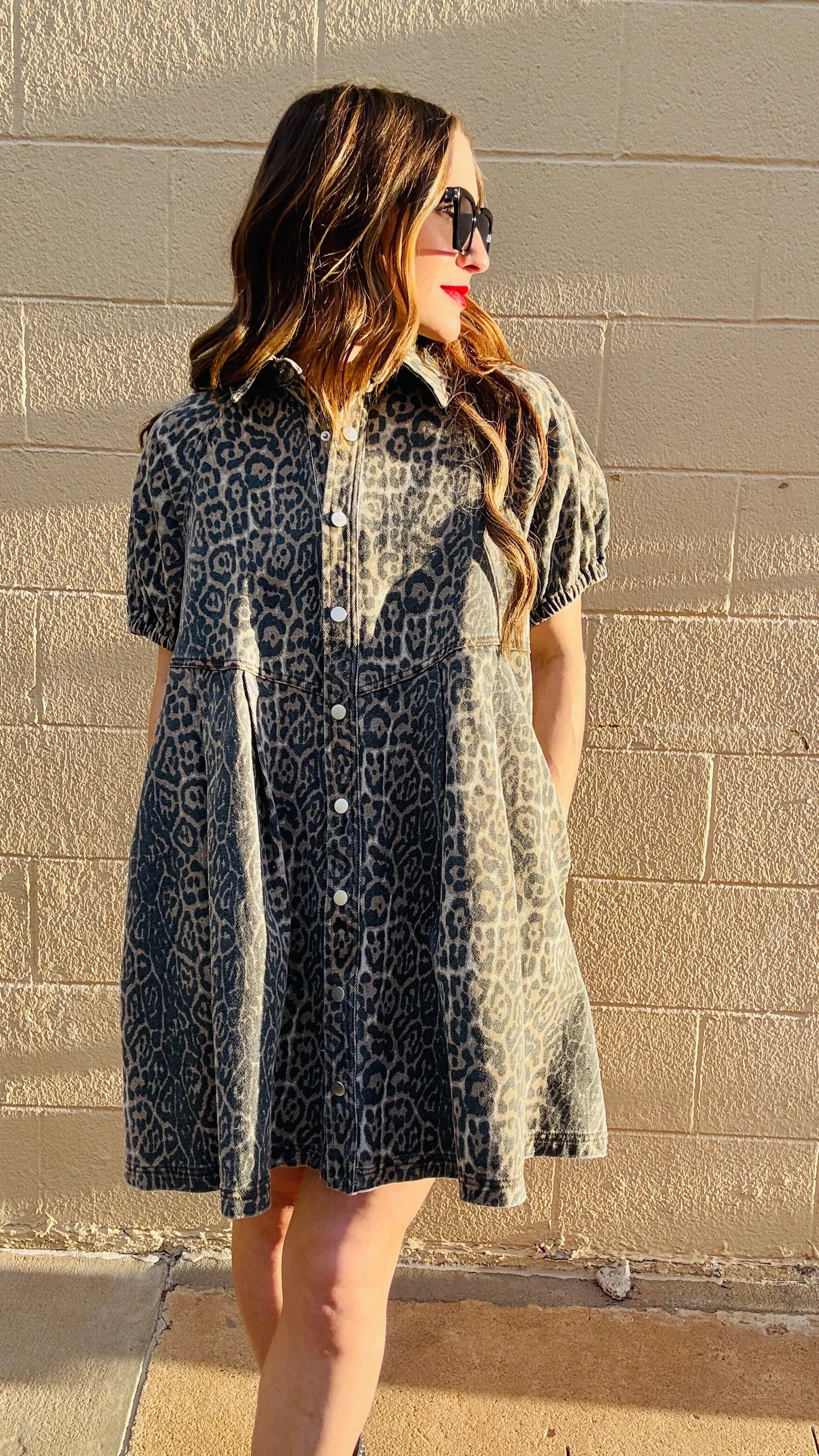 Chloe Leopard Print Denim Dress