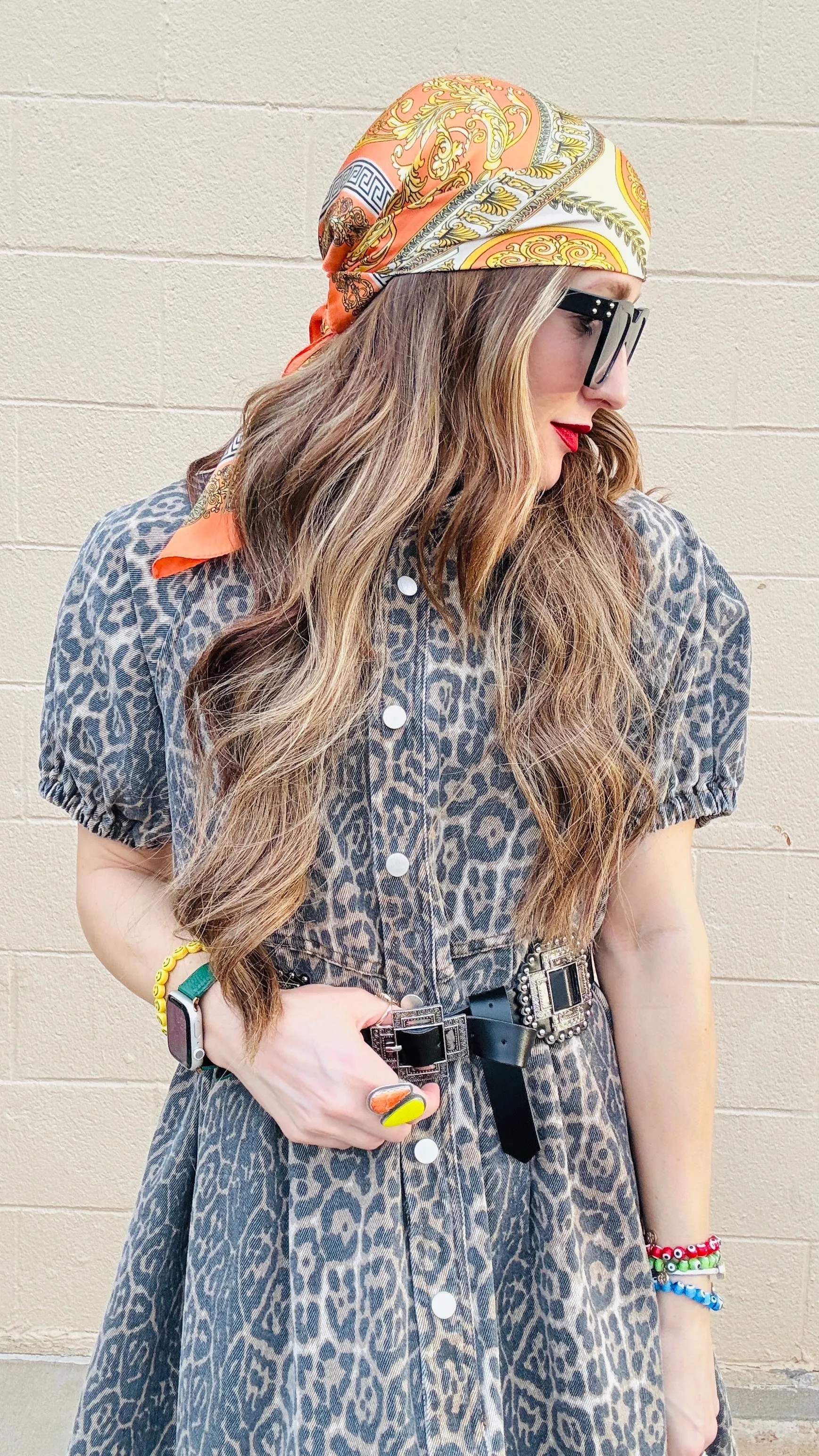 Chloe Leopard Print Denim Dress