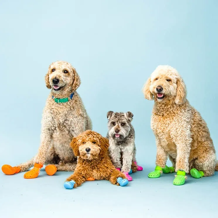 Dog Boots - WagWellies™ Mojave (1 pair of 2)
