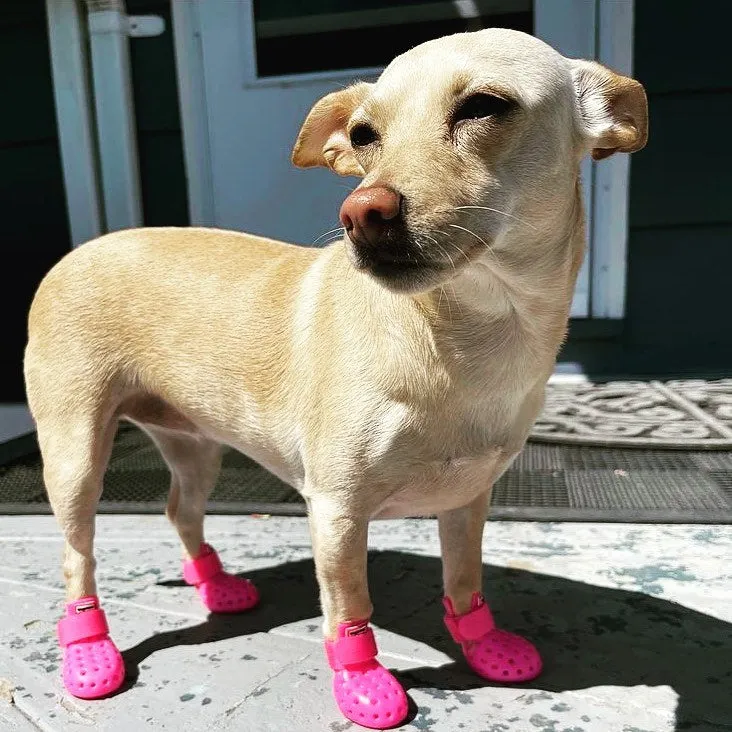 Dog Boots - WagWellies™ Mojave (1 pair of 2)